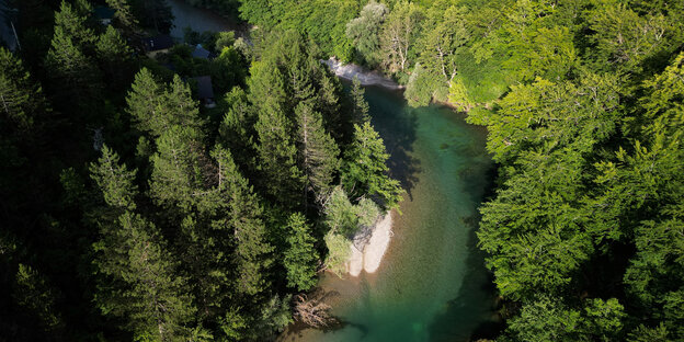 Ein von grünen Wäldern gesäumter Fluss, von oben von einer Drohne aufgenommen