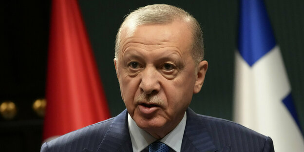 Erdogan spricht, Im Hintergrund Fahnen