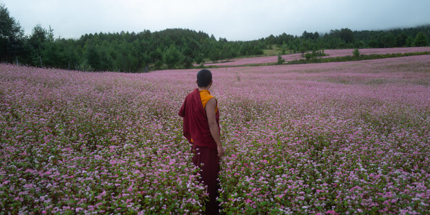 Ein junger budhistischer Mönch läuft über ein Blumenfeld, Rückenansicht