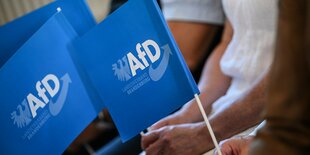 Blaue AfD-Papierfähnchen