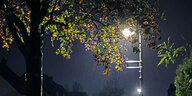 Regennasse Straße zu später Stunde bei Laternenlicht und anhaltenden Niederschlägen im Herbst