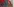 Die Tür des Gerichts ist mit roter Farbe beschmiert