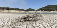 Bündel Reisig auf vor Trockenheit aufgeplatzten Erd- und Sandschollen vor schmalem Streifen blauen Wassers