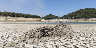 Bündel Reisig auf vor Trockenheit aufgeplatzten Erd- und Sandschollen vor schmalem Streifen blauen Wassers