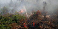 Feuerwehrmänner versuchen den brennenden Wald zu löschen.