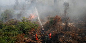 Feuerwehrmänner versuchen den brennenden Wald zu löschen.