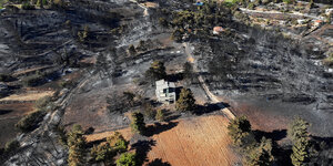 Ein Luftbild zeigt ein verbranntes Waldstück