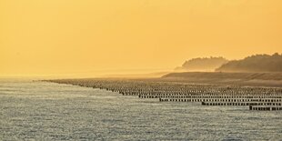 Buhnen im Morgenlicht