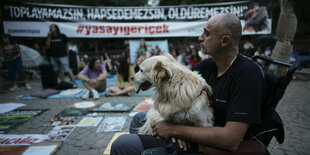 Mann mit Hund: Tierschützer protestieren einen Tag lang in einem Park in Ankara gegen das Gesetz, das die Tötung von Straßenhunden erlaubt