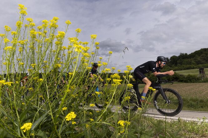 Deichmann auf dem Rennrad, im Vordergrund ein gelb blühender Busch