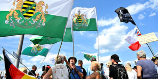 Demonstranten schwingen die Flagge Sachsens