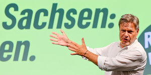 Robert Habeck vor einer grünen Wand mit Aufschrift "Sachsen"