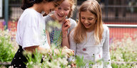 Drei Kinder sind draußen, sie stecken die Köpfe über hochgewachsenen Blumen und Gräsern zusammen und lachen. Hinter ihnen ist ein Sportplatz mit rotem Boden und Gitterzaun.