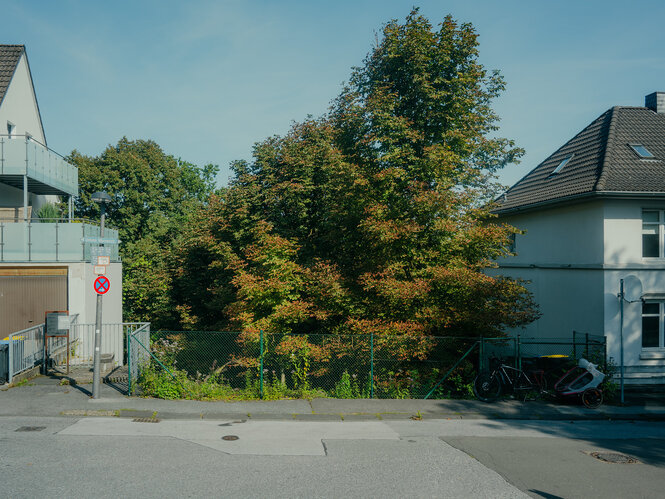 Ein von einem Baum bewachsenen Grundstück zwischen zwei Einfamilienhäusern