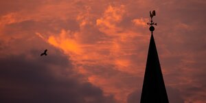 Ein Vogel fliegt um einen Kirchturm vor einem orangenen Himmel