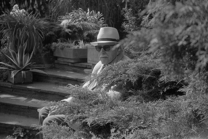 Karl Foerster sitzt in seinem Garten auf einer steinernen Treppe, ein Foto von 1965