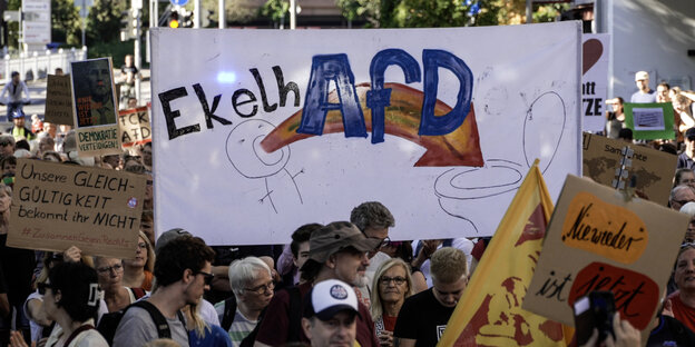 Auf einer Demo, in unmittelbarer Nähe des Veranstaltungsortes des AfD-Landesparteitages, werden Plakate hochgehalten