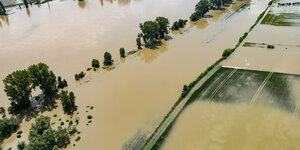 Überflutete Landschaft in Hessen durch Hochwasser des Rhein