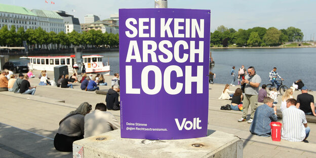 An der Hamburger Binnenalster hängt enn violettes Plakat der Partei volt mit dem Slogan: 