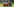 Filmszene: Eine Frau mit blonden Haaren, pinker Sonnenbrille und einer pinken Plüschkacke lehnt in einem Park in einem Liegestuhl. Zu ihren Füßen sitzt ein kleiner Hund, der ebenfalls ein pinkes Outfit trägt.