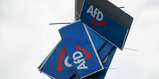 Wahlplakate der AfD hängen in der Dresdener Innenstadt an einem Lichtmast