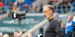 Pellegrino Matarazzo, Trainer der TSG Hoffenheim