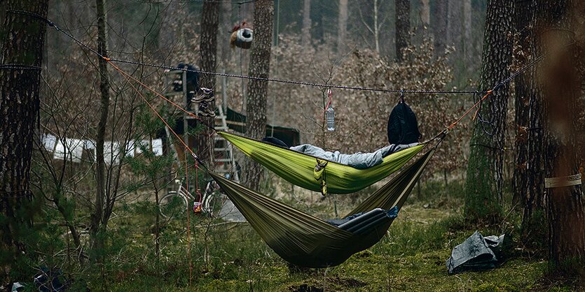 Zwischen Bäumen im Wald sind Hängematten gespannt