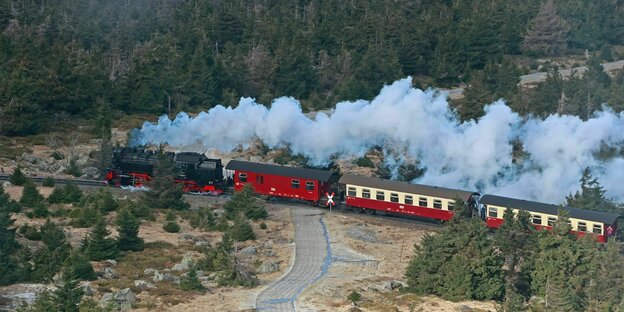 Ein Zug der Harzer Schmalspurbahne, sieht aus wie eine Spielzeugeisenbahn, fährt auf dem Brocken und zieht eine große Dampfwolke hinter sich her