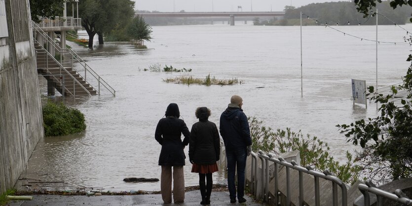 Drei Leute stehen am ufer der vollgelaufenen Donau in Wien