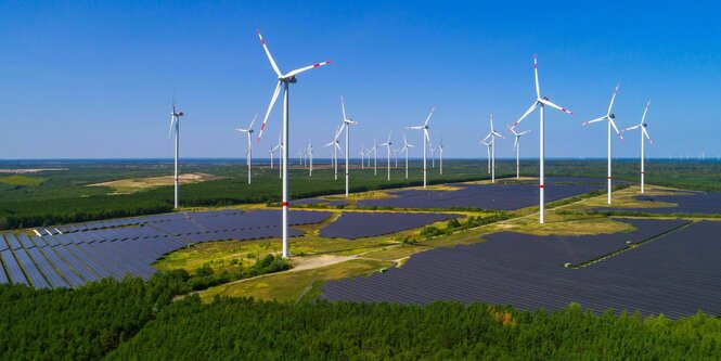 Windräder stehen in einer Landschaft, die von Bäumen und solarfeldern bedeckt ist, so weit das Auge reicht