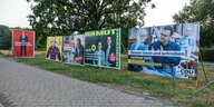 Wahlplakate verschiedener Parteien stehen an der Straße in Brandenburg