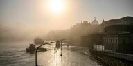 Das Ufer der Elbe in Dresden steht unter Wasser.