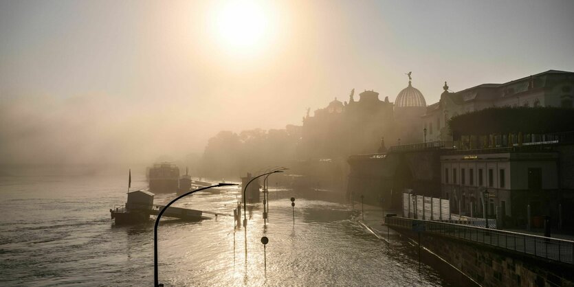 Das Ufer der Elbe in Dresden steht unter Wasser.