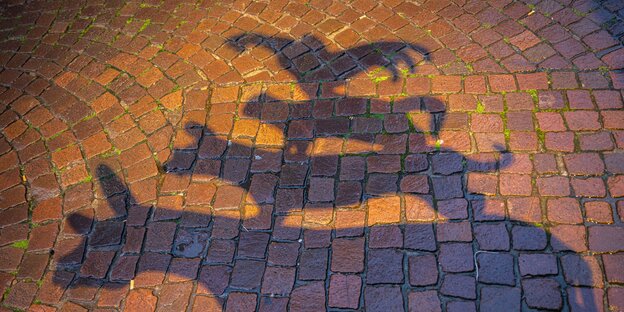 Der Schatten der Stadtmusikanten-Skulptur in der Bremer Fußgängerzone.