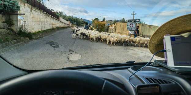 Blick aus dem Cockpit eines Campers auf eine schmale Landstraße.