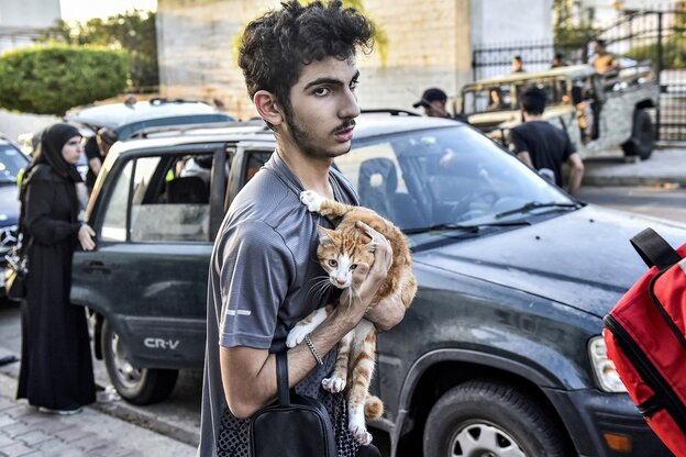 Ein junger Mann trägt eine Katze auf dem Arm, er steht auf einer Straße