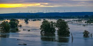 Eine überflutete Landschaft in Brandenburg