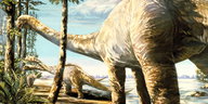 Zeichnung von mehreren Dinosauriern mit langen Hälsen