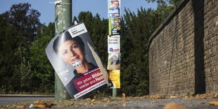 Wahlplakate nach der Landtagswahl in Brandenburg im September 2024