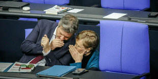 Habeck und Brantner tuscheln hinter vorgehaltenen Händen im Bundestag