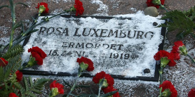 Nelken und Schnee liegen auf dem Grab vo Rosa Luxemburg.