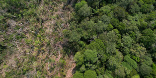 Vogelperspektive auf den Amazonas, die hälfte des Waldes ist gerodet