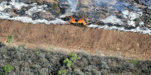 Luftaufnahme, illegale Brandrodung, Stämme, Äste und Zweige des gebrochenen Waldes werden auf den zukünftigen Soja-Feldern im Gran Chaco verbrannt, Salta, Argentinien, Südamerika Reisen Gesellschaft Luftaufnahme Rodung