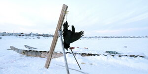 Auf einem Feld voller Schnee ist ein improvisiertes Stativ aufgebaut, ein schwarzer Vogel hängt daran