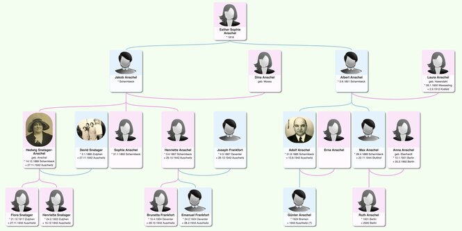 Stammbaum der Familie Anschel