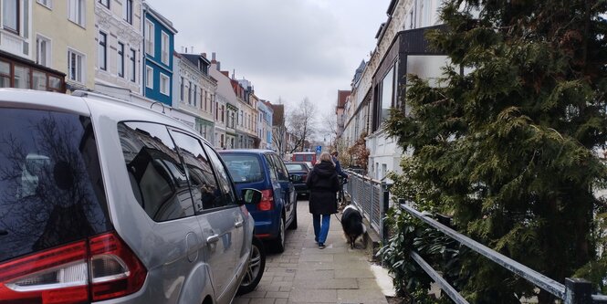 Mensch mit Hund auf einem zuparkten Gehweg in der Bremer Neustadt