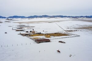 Reiter mit Pferd in einer Steppenschneelandschaft