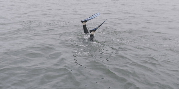 Füße mit Taucherflossen ragen aus dem Wasser