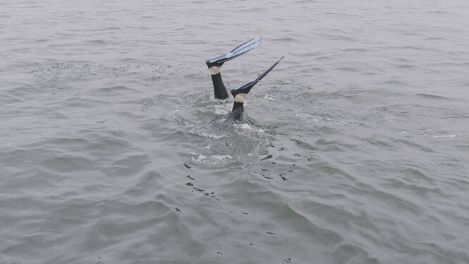 Füße mit Taucherflossen ragen aus dem Wasser