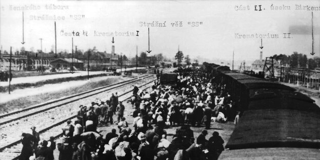 etwas unscharfe Schwarz-Weiß-Aufnahme von einer Bahn links mit vielen Menschen rechts davor, oben maschinengeschriebene Hinweise wie "Krematorium II" und "Birkenau"